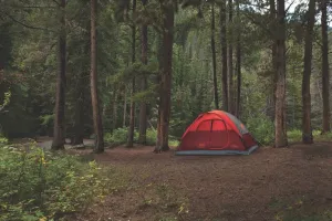 Coleman Flatwoods II 4 Person Red Dome Tent